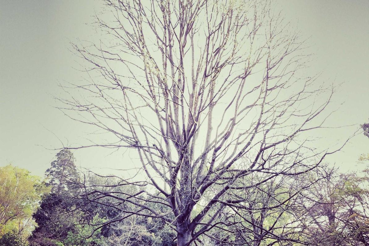 Excepturi labore amet consequatur cupiditate consequatur repellendus consequatur odit ducimus occaecati distinctio