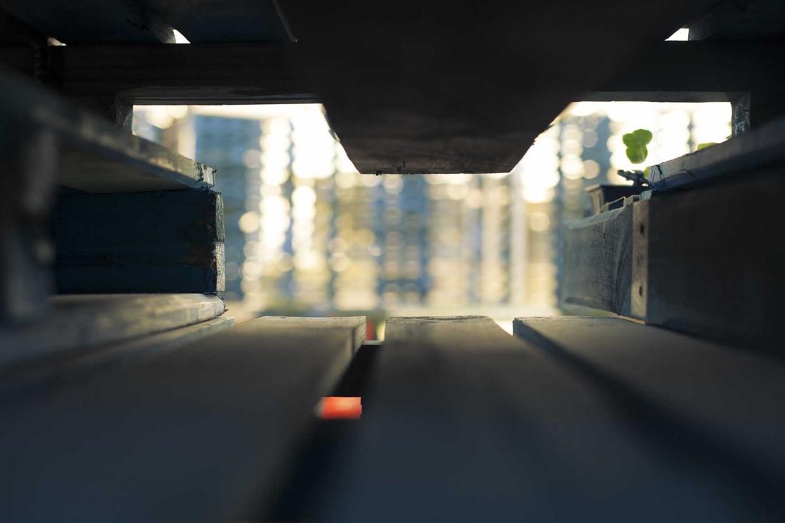 Maiores voluptas temporibus necessitatibus